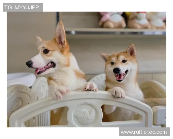 足球明星与可爱动物的欢乐时光共同享受自然的美好瞬间